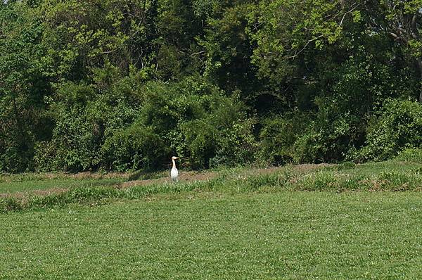 14.DSC00553.JPG 14.DSC00553.JPG