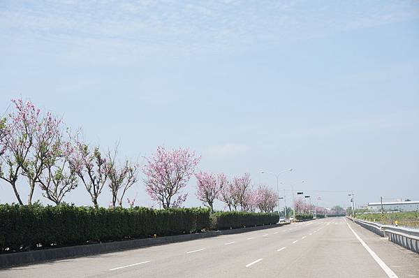 24.DSC00598.JPG 24.DSC00598.JPG