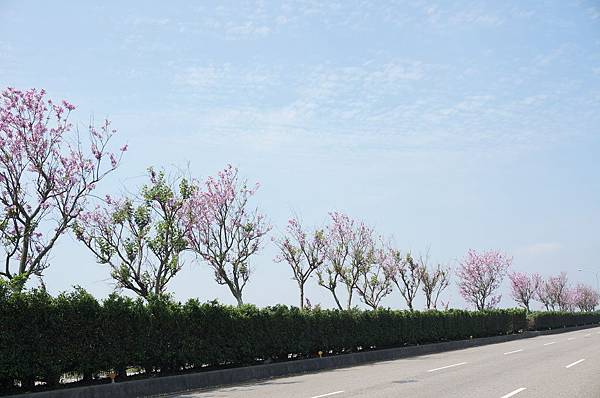 25.DSC00597.JPG 25.DSC00597.JPG