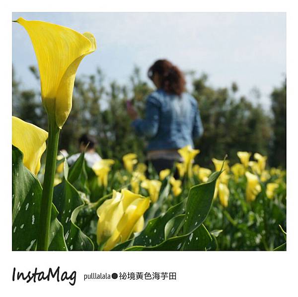 img1428123643571 img1428123643571