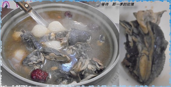 0新竹-帝王5 0新竹-帝王5