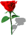 rose.gif rose.gif
