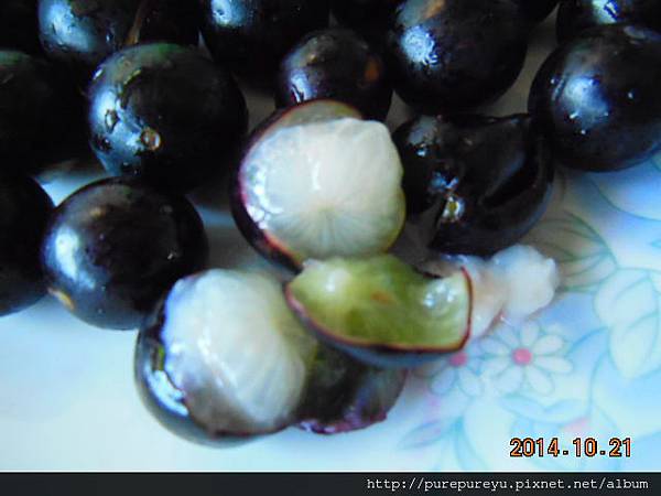 樹葡萄蘋果汁6.JPG