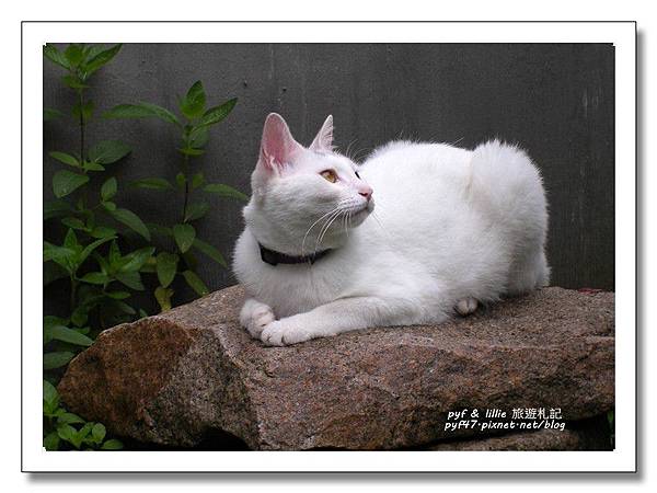 0903小雅青旅08 0903小雅青旅08