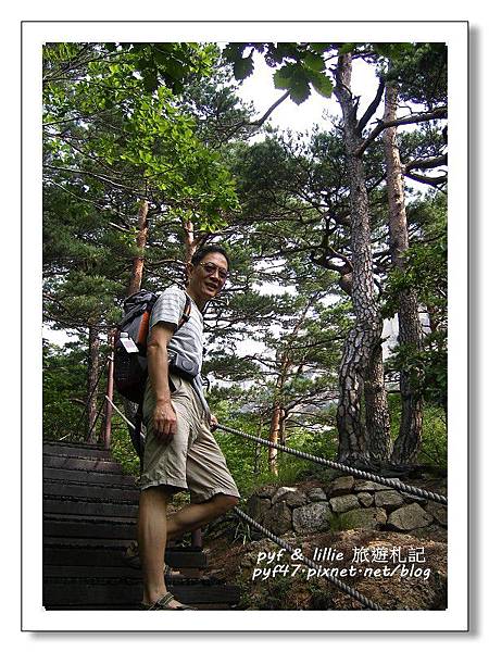 2001蔚山岩29 2001蔚山岩29