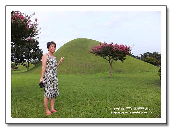 慶州大陵苑 慶州大陵苑