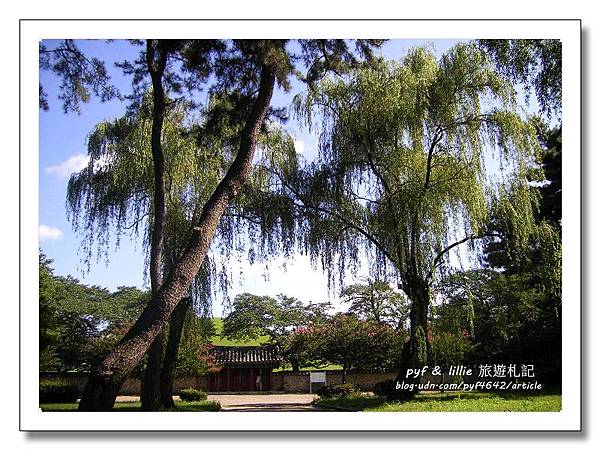 慶州大陵苑 慶州大陵苑