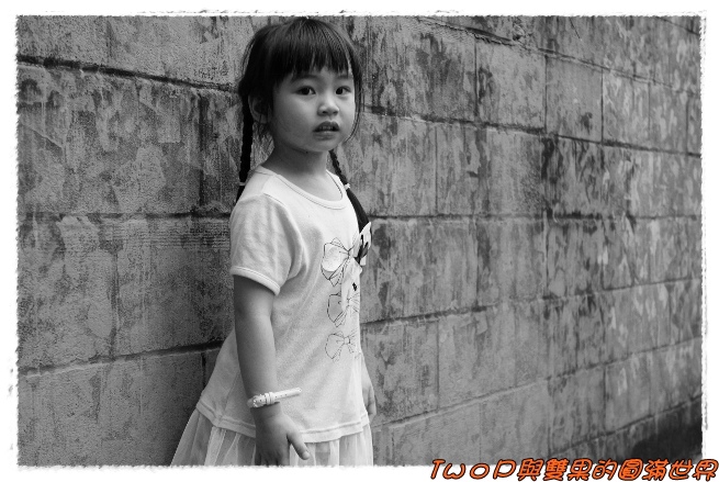 cats12.jpg cats12.jpg