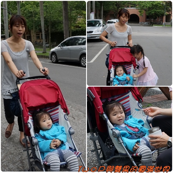 cats14.jpg cats14.jpg