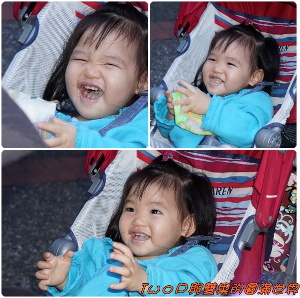 cats16.jpg cats16.jpg