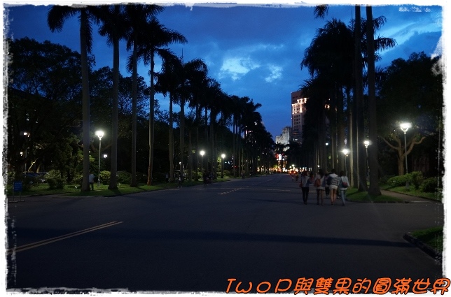 cats18.jpg cats18.jpg