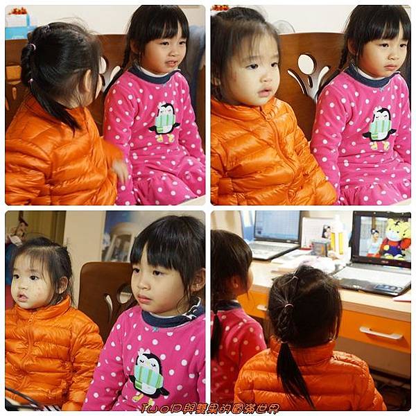 cats10.jpg cats10.jpg