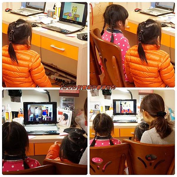 cats11.jpg cats11.jpg