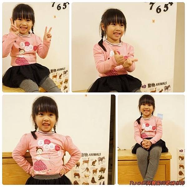 cats12.jpg cats12.jpg