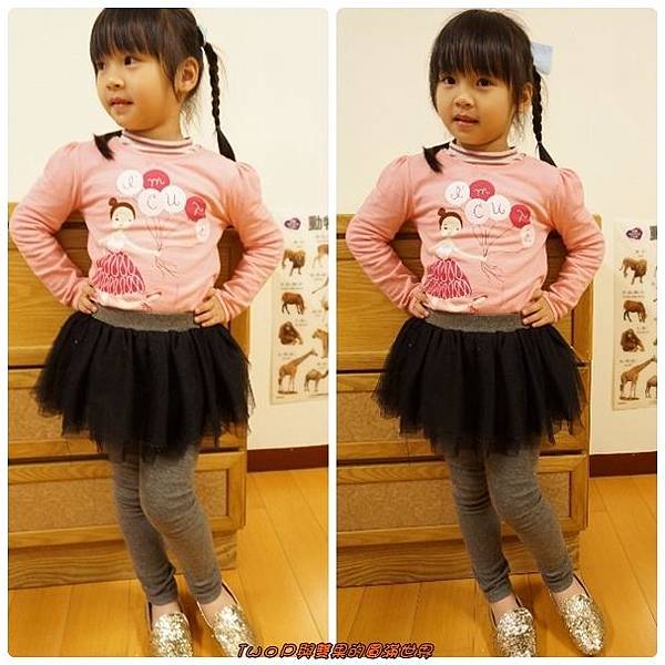 cats13.jpg cats13.jpg