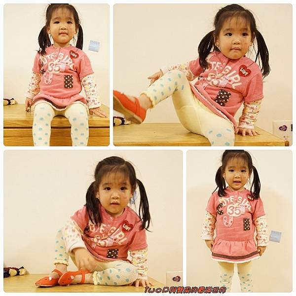 cats14.jpg cats14.jpg