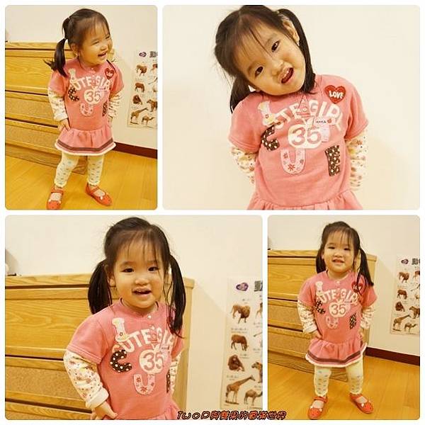 cats16.jpg cats16.jpg