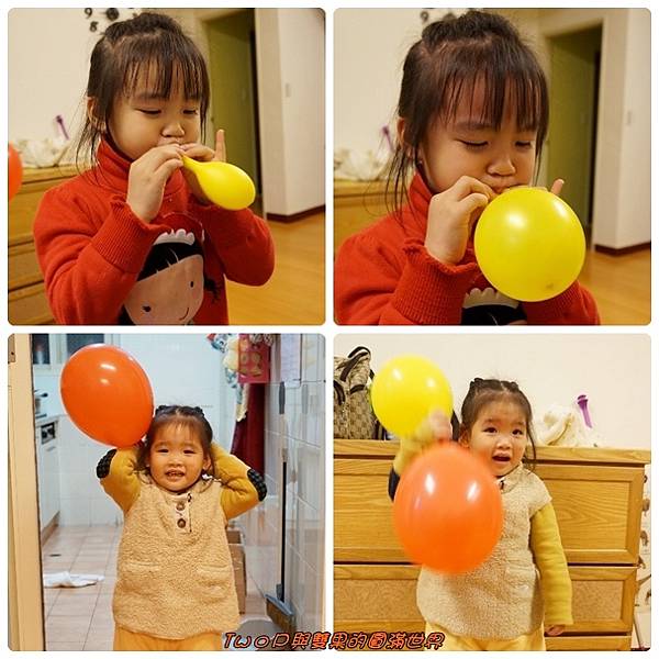 cats21.jpg cats21.jpg