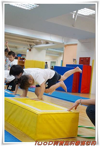 cats12.jpg cats12.jpg