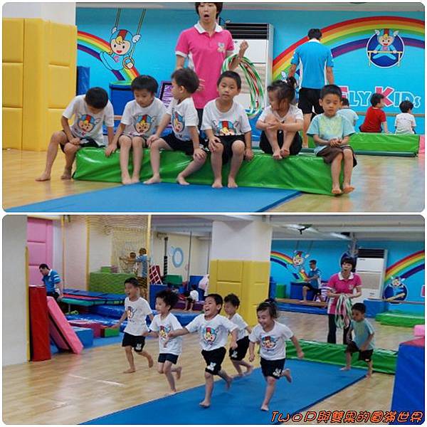 cats16.jpg cats16.jpg