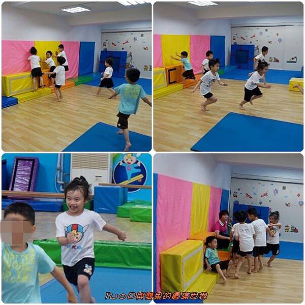 cats17.jpg cats17.jpg