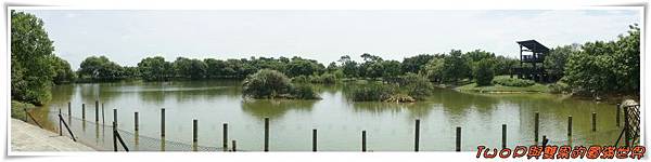 cats3-1.jpg cats3-1.jpg