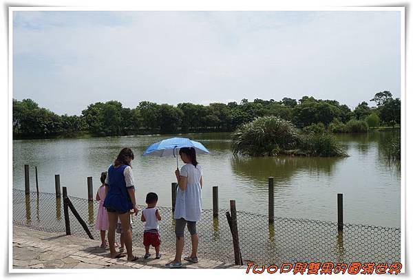 cats12.jpg cats12.jpg