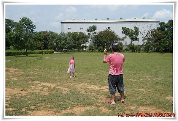 cats15.jpg cats15.jpg