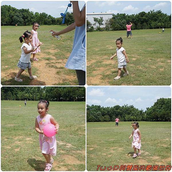 cats16.jpg cats16.jpg