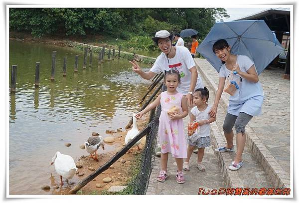 cats18.jpg cats18.jpg