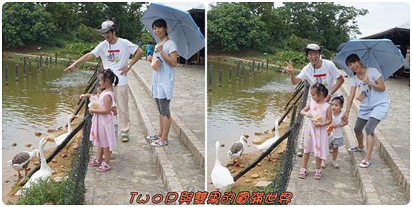 cats19.jpg cats19.jpg