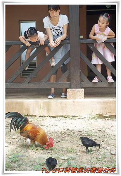 cats20.jpg cats20.jpg