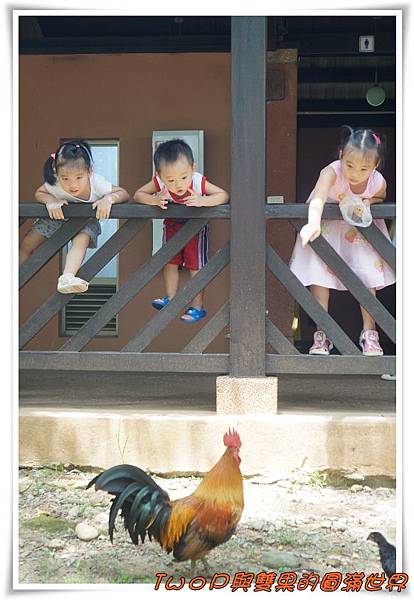 cats21.jpg cats21.jpg