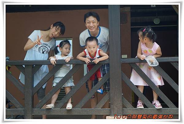 cats22.jpg cats22.jpg