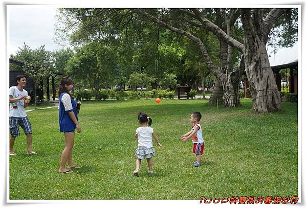 cats24.jpg cats24.jpg