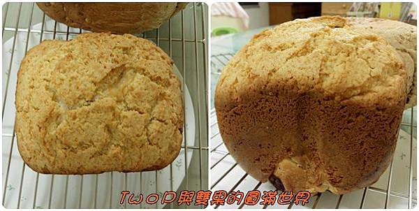 cats13.jpg cats13.jpg