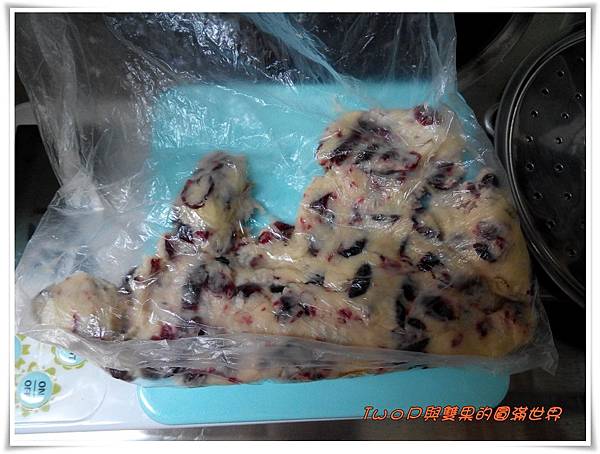 cats14.jpg cats14.jpg