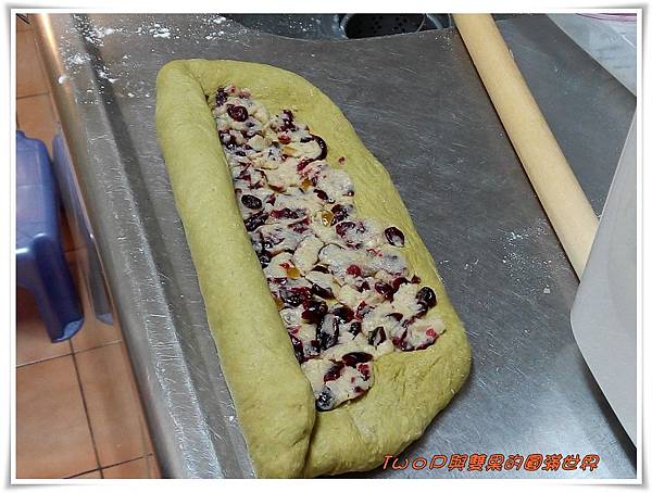 cats16.jpg cats16.jpg