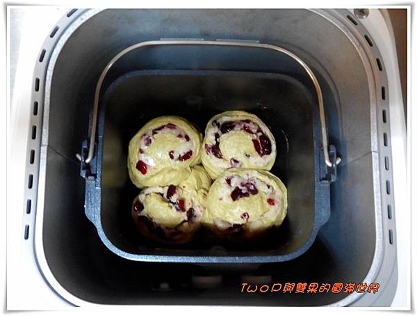 cats17.jpg cats17.jpg