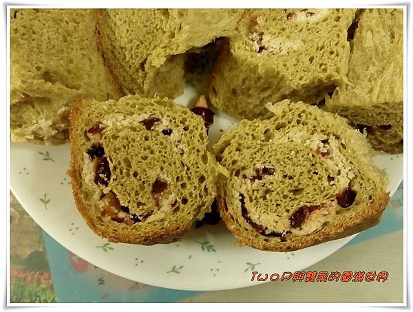 cats19.jpg cats19.jpg