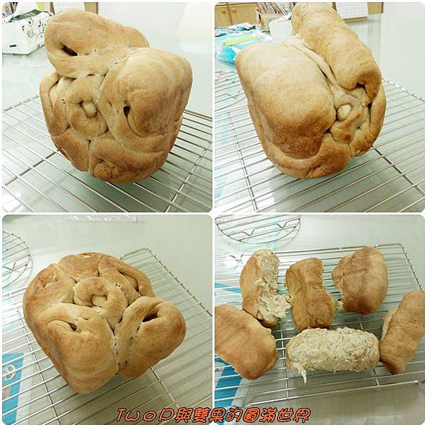 cats23.jpg cats23.jpg