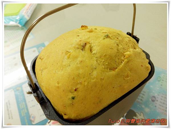 cats25.jpg cats25.jpg