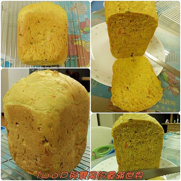 cats26.jpg cats26.jpg