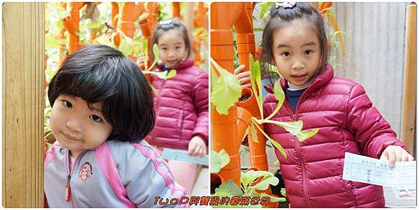 cats10.jpg cats10.jpg