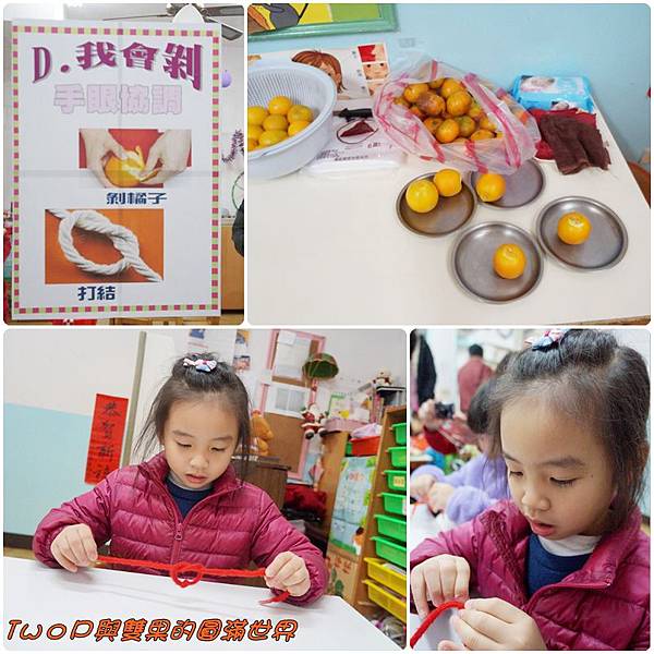 cats13.jpg cats13.jpg