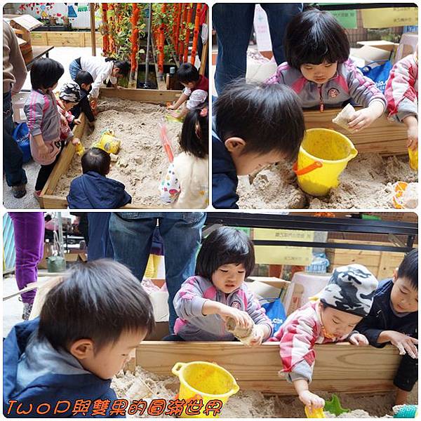 cats15.jpg cats15.jpg