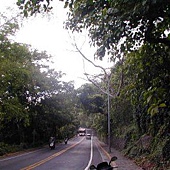 仰德大道 仰德大道