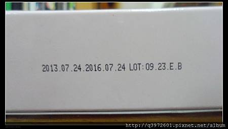 SAM_4119.JPG 試用
