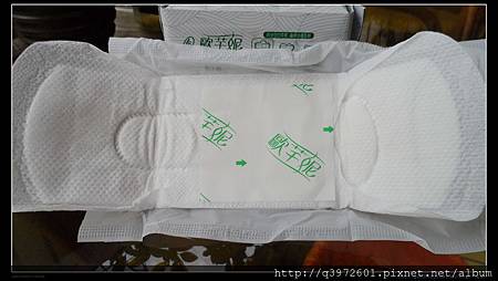 SAM_4819.JPG 試用
