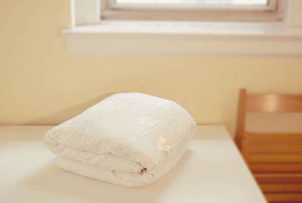 提花蠶絲被白色 (1)